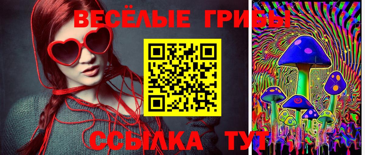 Галлюциногенные грибы Cubensis Ртищево